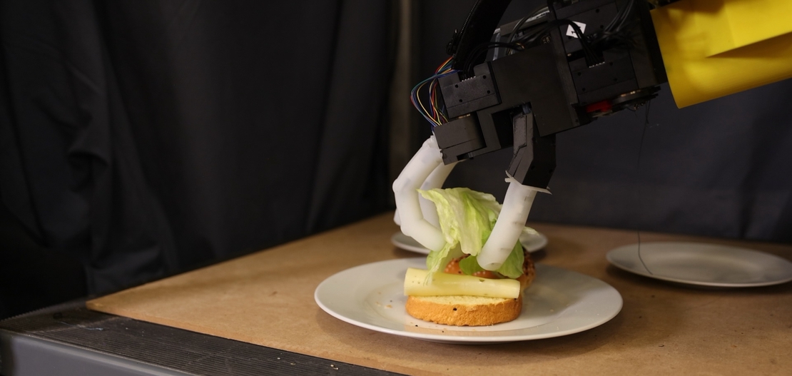 Robotic Manipulation