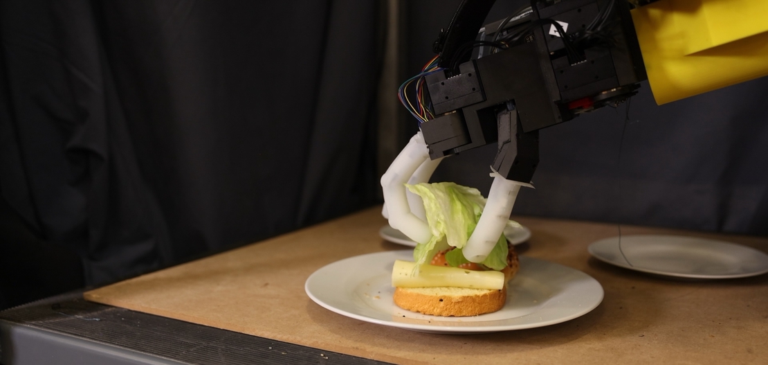 Robotic Manipulation